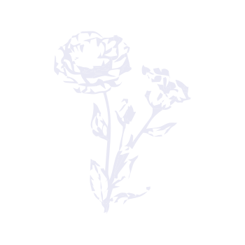 Lisianthus - Coating Supply Inc.